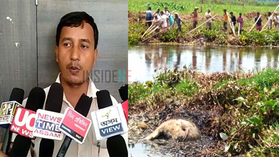 ASSAM: FIFTEEN WILD BUFFALOES DIE IN RIVER AFTER GETTING TRAPPED IN WATER-HYACINTH ASSAM: FIFTEEN WILD BUFFALOES DIE IN RIVER AFTER GETTING TRAPPED IN WATER-HYACINTH