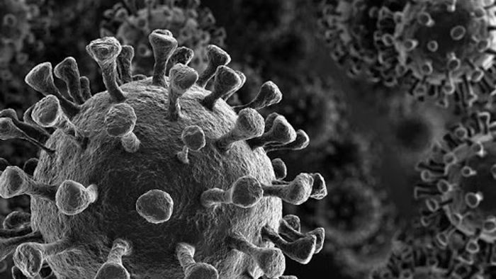 Manipur reports two cases of Black Fungus in COVID patients