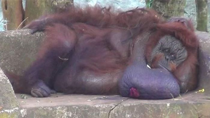 Binny cuts a forlorn figure in an image captured before her death