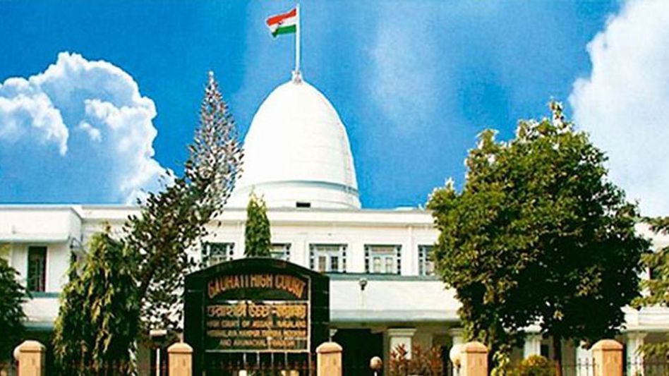 Gauhati HC Bench Says Safety of Elephants is of 'Paramount Importance' Gauhati HC Bench Says Safety of Elephants is of 'Paramount Importance'