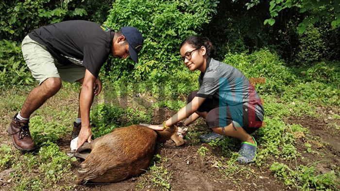 The Meghalaya CM pays his last respects