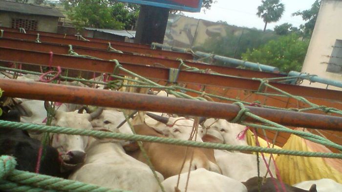 Representative Image