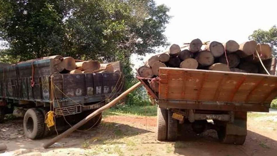 Manipur police destroy massive cache of narcotics in Imphal West Manipur police destroy massive cache of narcotics in Imphal West