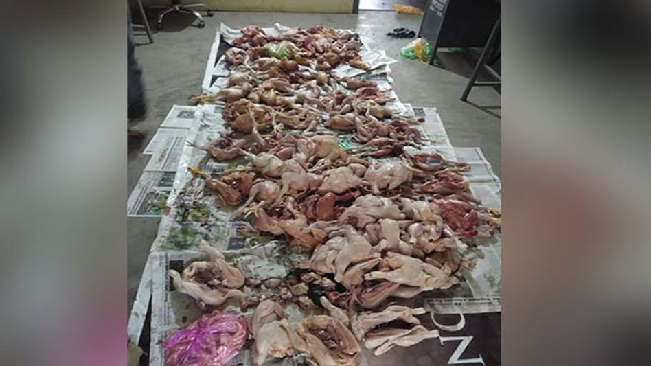 Manipur police destroy massive cache of narcotics in Imphal West Manipur police destroy massive cache of narcotics in Imphal West