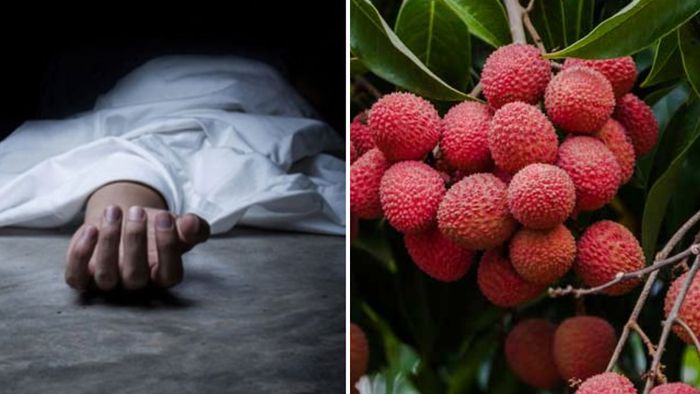 Assam girl dies after choking on litchi seed