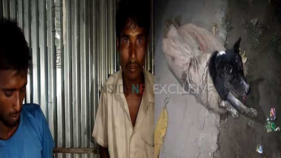 Manipur police destroy massive cache of narcotics in Imphal West Manipur police destroy massive cache of narcotics in Imphal West