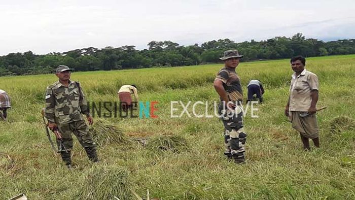 Japanese Encephalitis