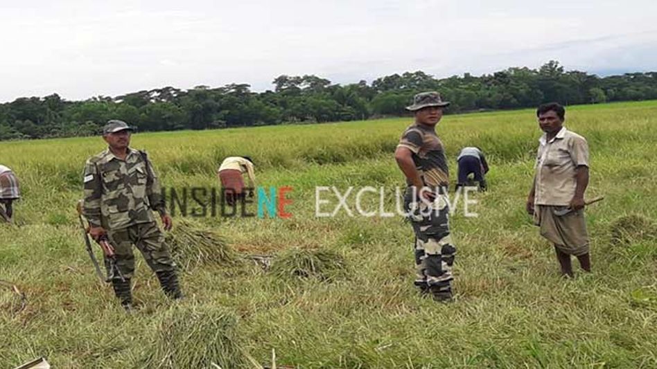 Japanese Encephalitis Claims Life of 12 Year-Old Child in Assam Japanese Encephalitis Claims Life of 12 Year-Old Child in Assam