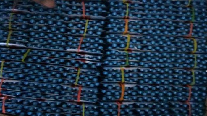 Drug smuggler apprehended in Merapani