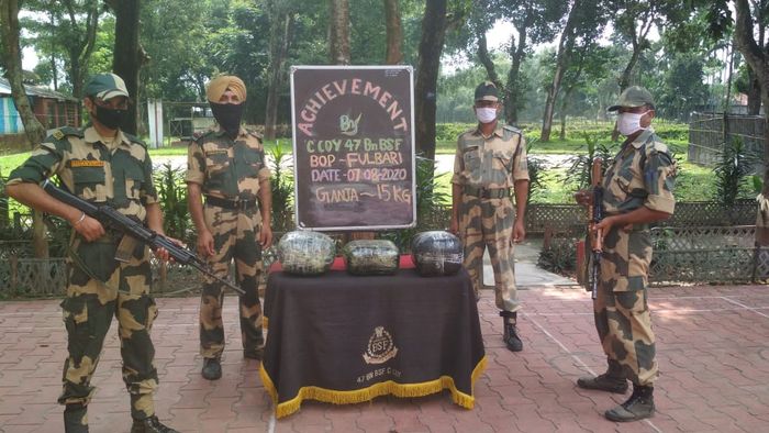 Assam: BSF foils ganja smuggling, seizes huge consignment