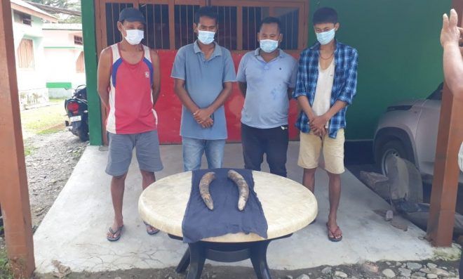 Assam: Four tusker smugglers arrested at Kokrajhar