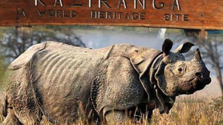 Kaziranga National Park to re-open for visitors from October 21 Kaziranga National Park to re-open for visitors from October 21