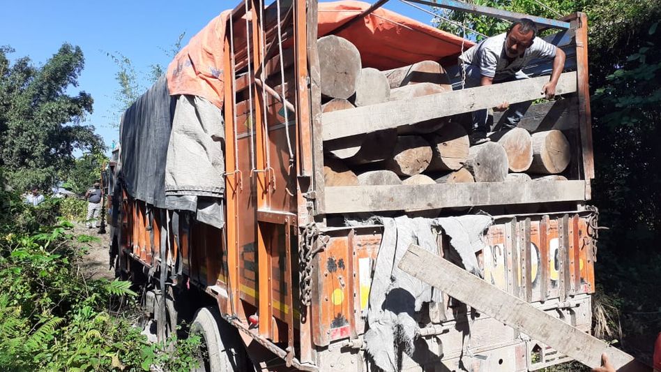 Sal logs worth rupees 8 lakh seized in Assam's Kokrajhar Sal logs worth rupees 8 lakh seized in Assam's Kokrajhar