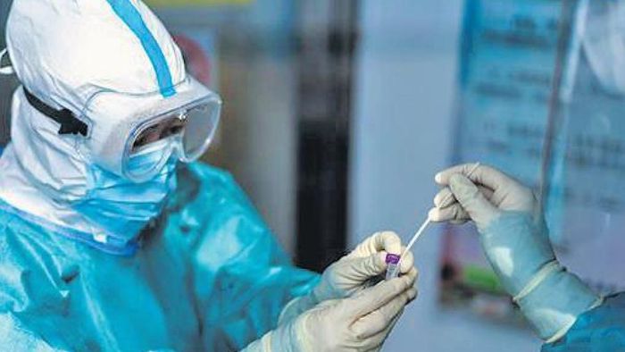 Sikkim records 268 fresh COVID-19 cases; 2 more deaths recorded in 24 hrs