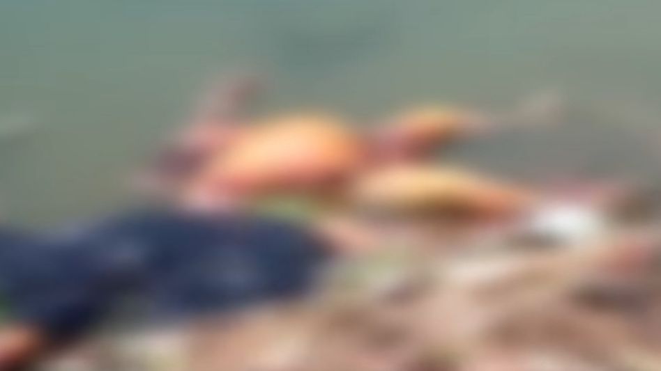 Over 40 bodies of Covid-19 victims found floating in Ganges in Bihar; enquiry ordered after video went viral Over 40 bodies of Covid-19 victims found floating in Ganges in Bihar; enquiry ordered after video went viral