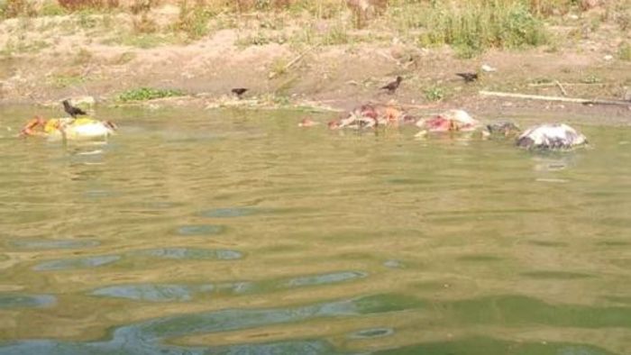 Bodies found buried in sand on banks of Ganga in Unnao, Uttar Pradesh