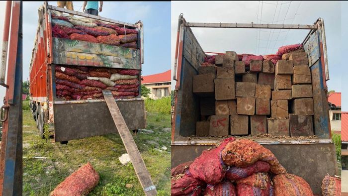 Illegal teak wood worth approx 35 seized in Kokrajhar