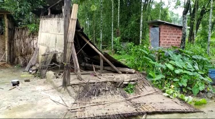 wild elephant acrocity