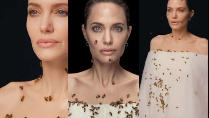 Angelina Jolie poses with bees