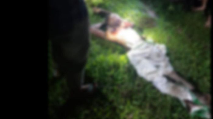 wild elephants killed man in Tinsukia