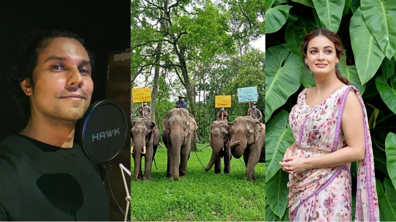 Bollywood celebs tweet Arunachal CM over pending wages of Pakke Tiger reserve workers