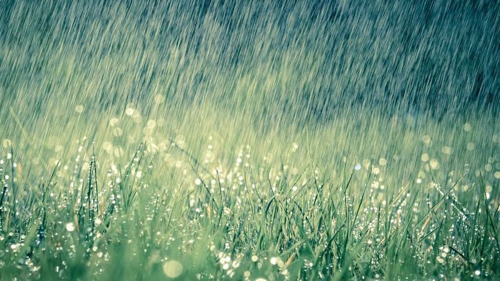 Northeast to Witness Widespread Monsoon Rains, Thunderstorm