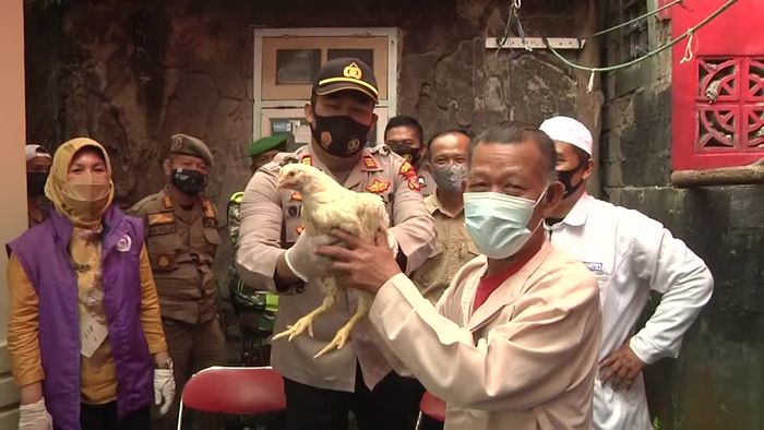 Indonesian town gives out livestock to encourage vaccination