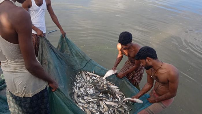 Assam all set to become self-sufficient in fish production