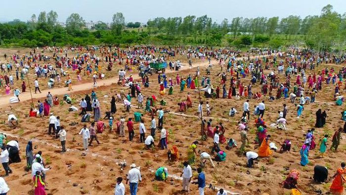 Telangana Plants 1 million saplings in one hour to enter Guinness Book