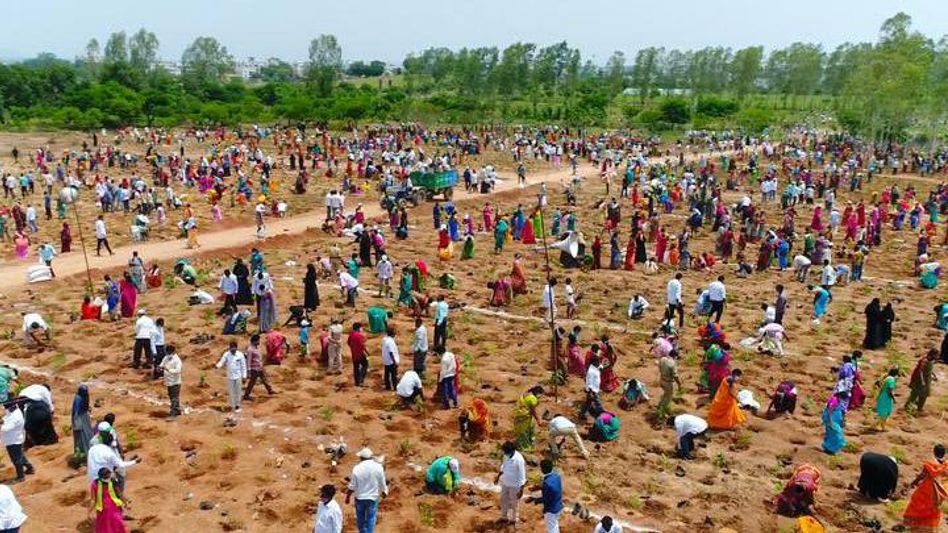 Telangana Plants 1 million saplings in one hour to enter Guinness Book Telangana Plants 1 million saplings in one hour to enter Guinness Book