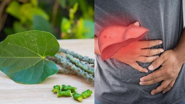 Giloy is linked to liver damage?