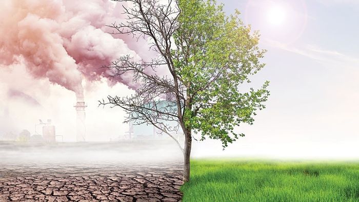 Climate change and governance
