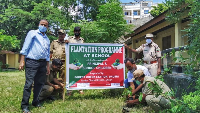 Assam: Dhubri Forest Department organises plantation drive in all district school