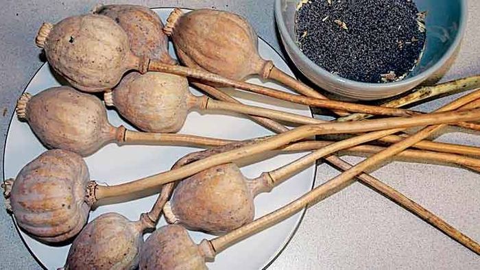 Representational image