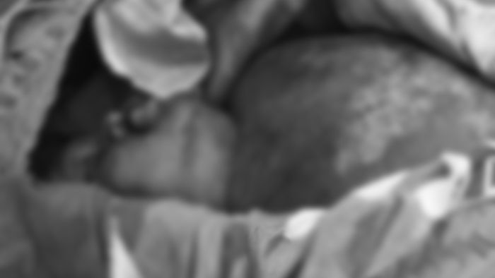 One killed in elephant attack