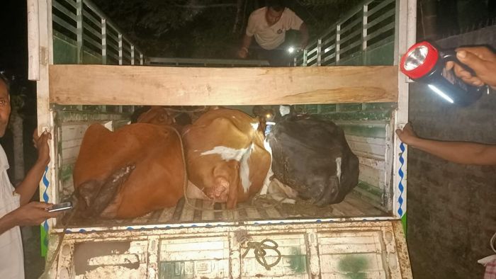 Police fired on fleeing cattle smugglers vehicle