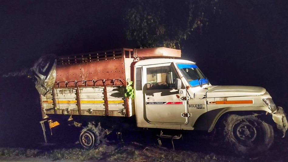 Police open fire at fleeing cattle smugglers vehicle in Assam's Dhubri; 2 held Police open fire at fleeing cattle smugglers vehicle in Assam's Dhubri; 2 held
