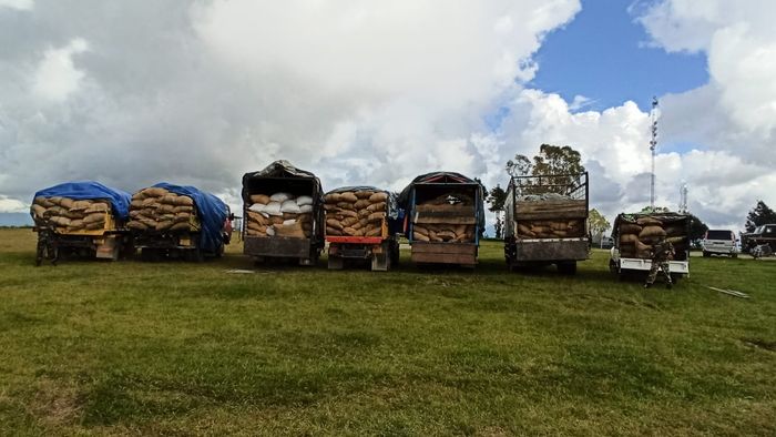 Areca nuts worth over Rs 1 crore seized in Mizoram's Champhai