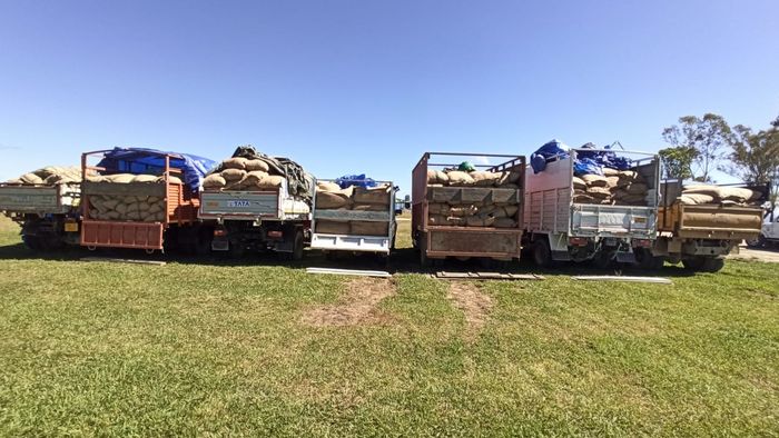 Illegal areca nuts worth over Rs 91 lakh seized