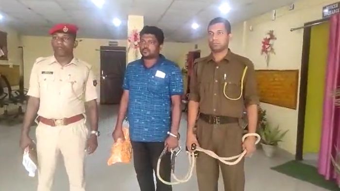 Assam: Cattle smuggler arrested by Golakganj police in Dhubri District