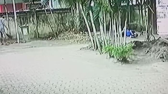 Assam: Four injured in wild boar attack in Guwahati