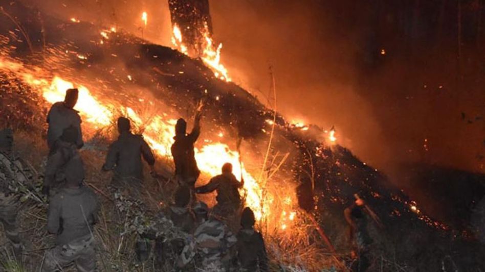 Indian army douses raging forest fire in Arunachal's Anjaw Indian army douses raging forest fire in Arunachal's Anjaw