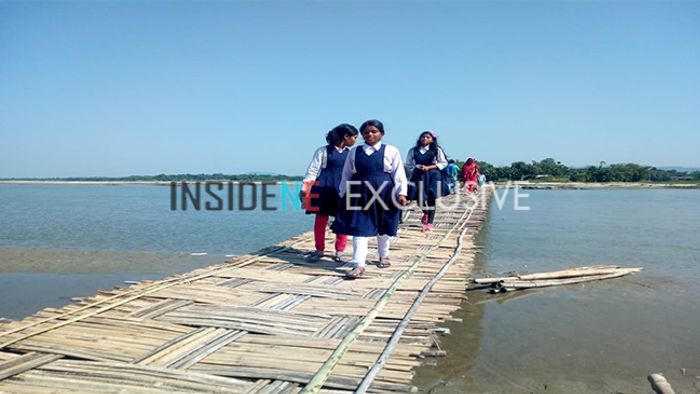 bamboo bridges