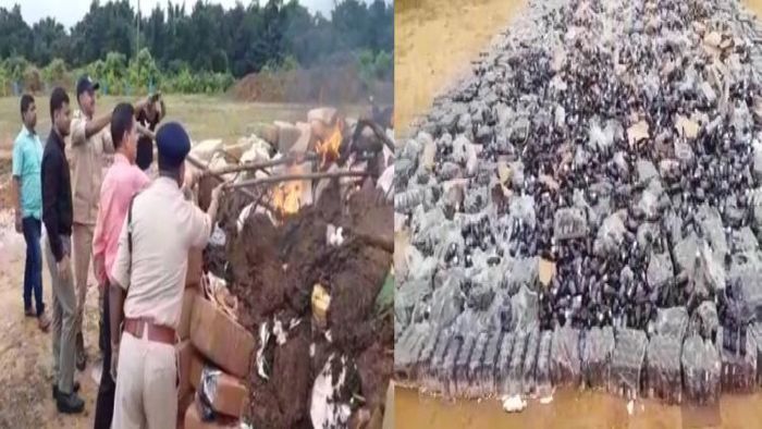 Assam Police destroy drugs worth Rs 68 crore