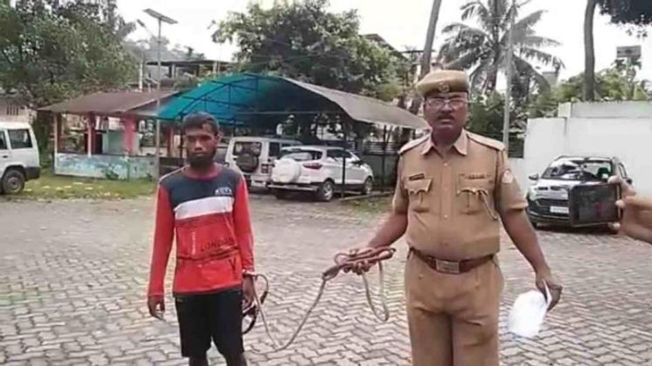 Manipur police destroy massive cache of narcotics in Imphal West Manipur police destroy massive cache of narcotics in Imphal West