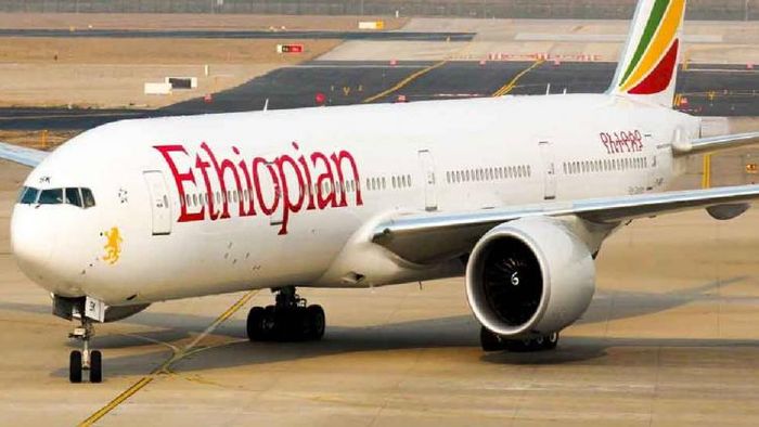 Flight misses landing after pilots fall asleep