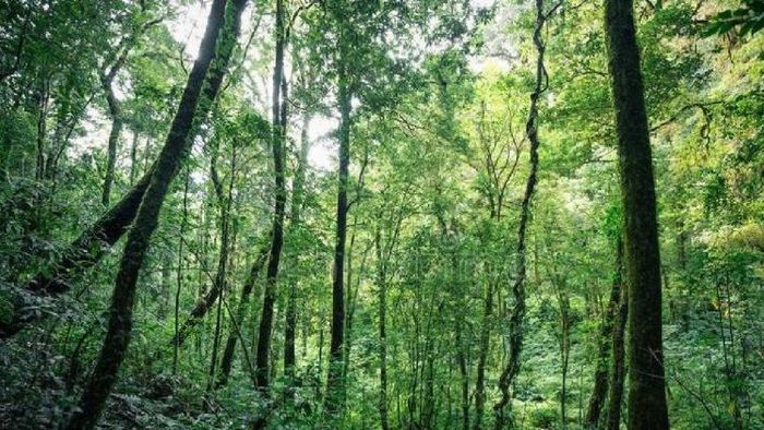 representational image