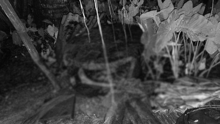 Assam: Woman's body found in toilet tank