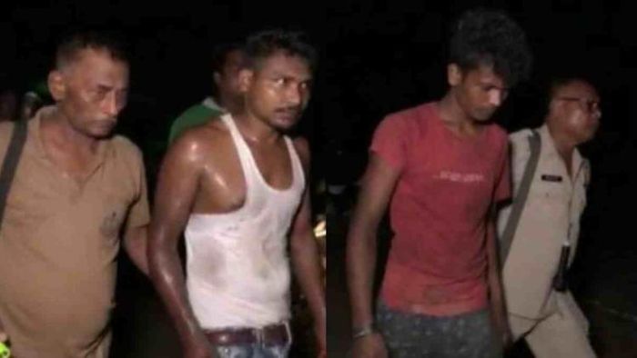 14 illegally smuggled cows seized in Golaghat