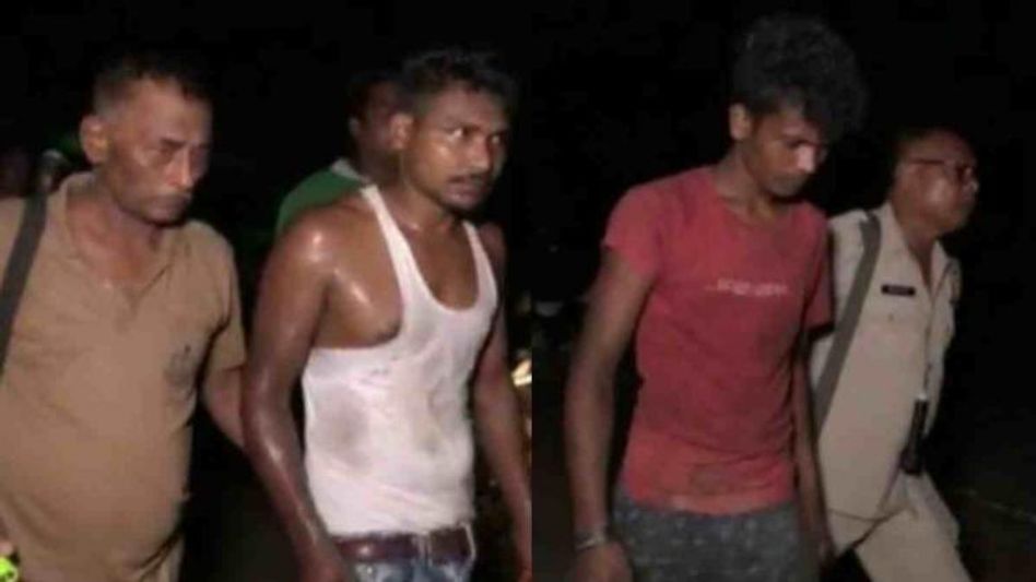 Assam: 14 illegally smuggled cows seized in Golaghat, 2 held Assam: 14 illegally smuggled cows seized in Golaghat, 2 held